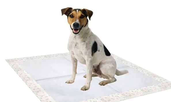 Tapete Higiênico Pet